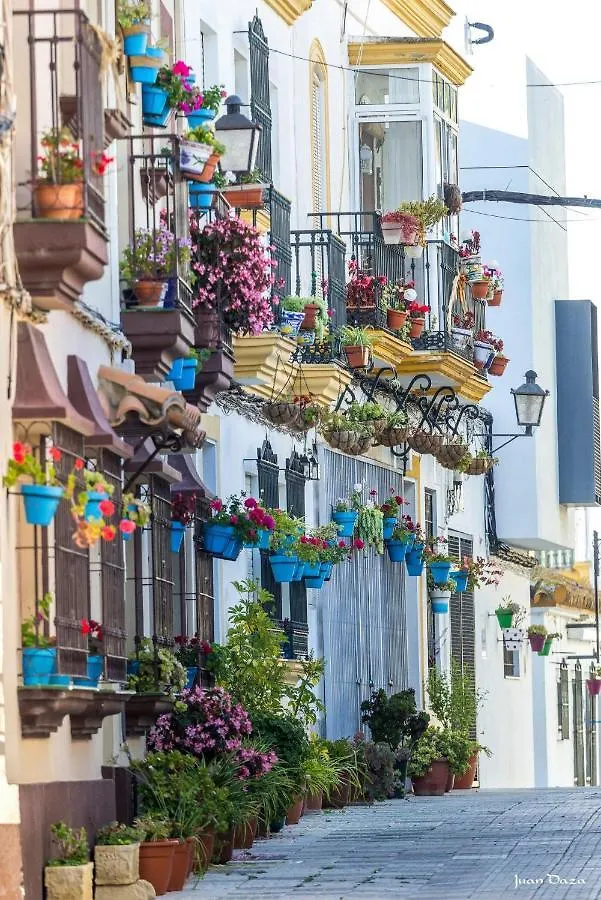 Apartamento La Rosa De Barbate